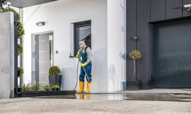 Best Animal Enclosure Cleaning  in Rotan, TX